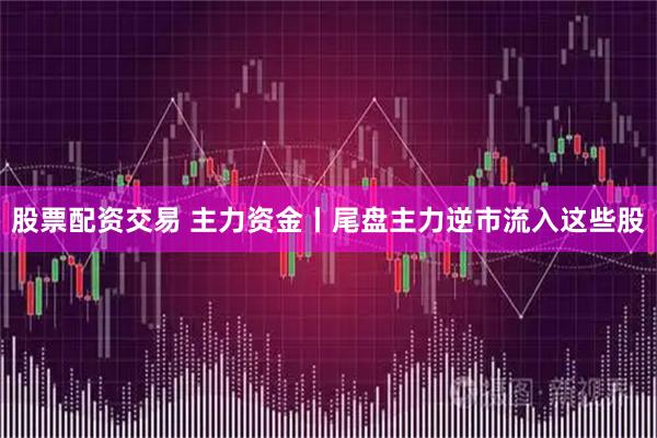 股票配资交易 主力资金丨尾盘主力逆市流入这些股